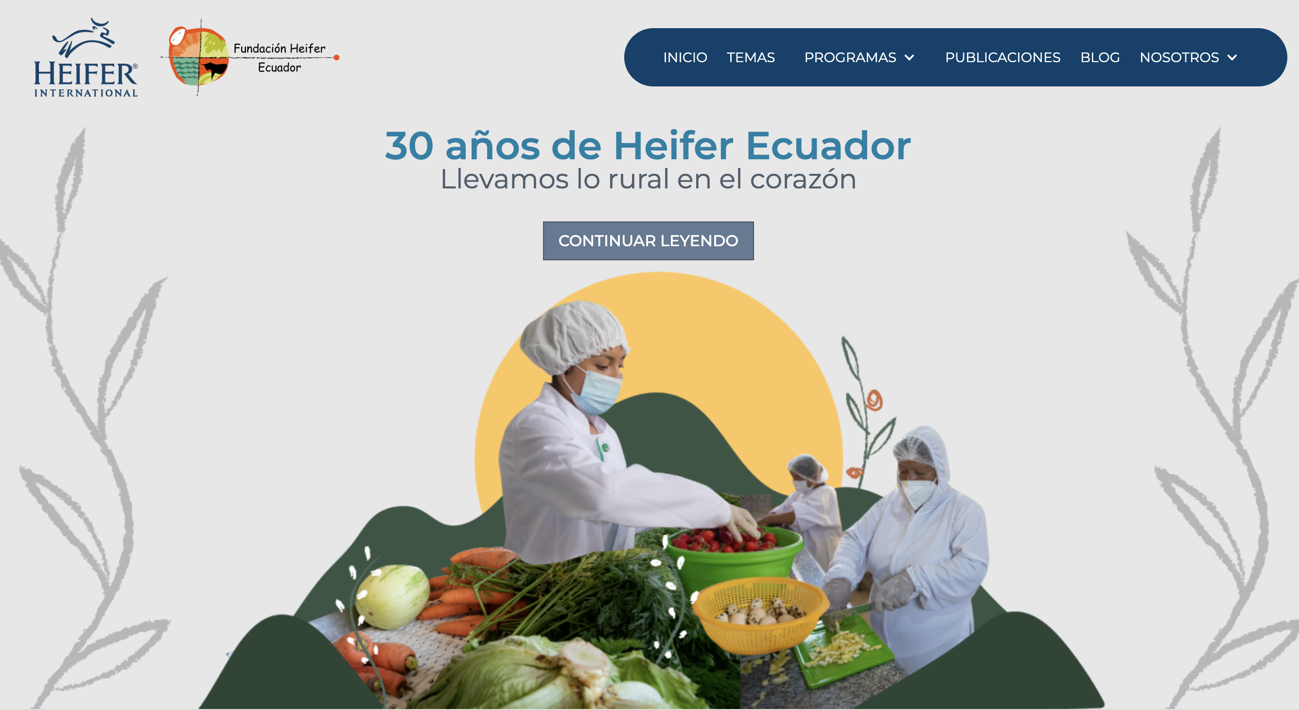 Heifer Ecuador